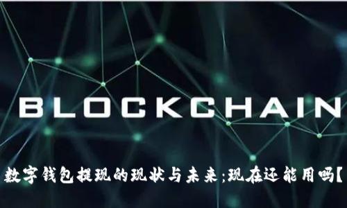 数字钱包提现的现状与未来：现在还能用吗？