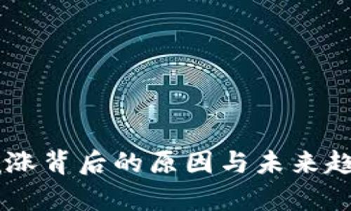 OK币疯涨背后的原因与未来趋势解析