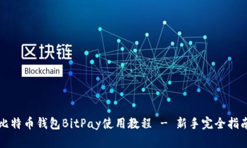 比特币钱包BitPay使用教程 - 新手完全指南