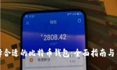 如何选择合适的比特币钱包：全面指南与质疑解