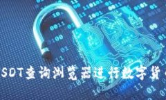 如何使用USDT查询浏览器进行数字货币信息检索