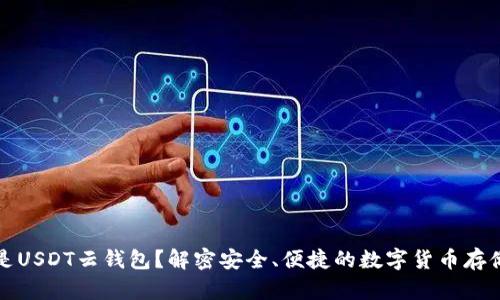 什么是USDT云钱包？解密安全、便捷的数字货币存储方案