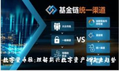 数字货币豚：理解新兴数字资产的未来趋势