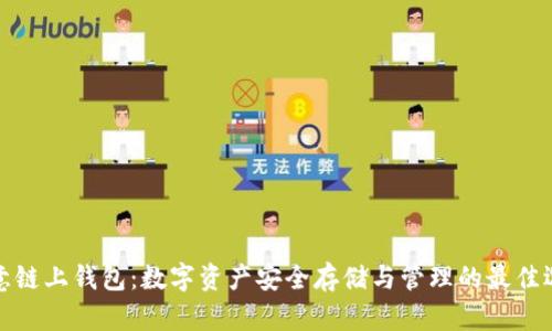 欧意链上钱包：数字资产安全存储与管理的最佳选择
