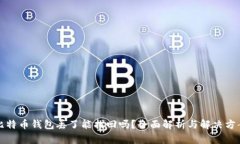 比特币钱包丢了能找回吗？全面解析与解决方案