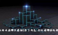 比特币在哪里存储？除了钱包，你还有哪些选择