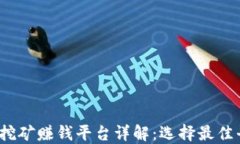 2023年虚拟币挖矿赚钱平台详解：选择最佳平台的