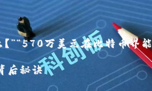 关于比特币钱包花费570万美元的问题，多数人可能会问：“这到底意味着什么？”“570万美元在比特币界能做什么？”“怎么样才能使用这么多比特币？”下面我将详细为您解答这个话题。

### 比特币钱包570万美元支出揭秘：专家教你如何理解这一巨额交易的背后秘诀