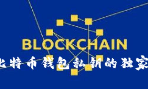 专家揭秘：比特币钱包私钥的独家秘诀与作用