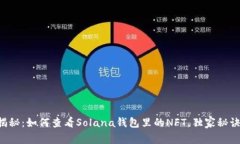 专家揭秘：如何查看Solana钱包里的NFT，独家秘诀