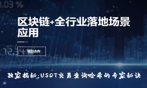 独家揭秘：USDT交易查询哈希的专家秘诀