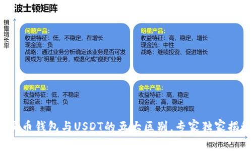 人民币钱包与USDT的五大区别，专家独家揭秘！