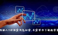 揭秘以太坊创始人V神独家钱包秘密，专家带你了