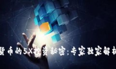 揭秘数字货币的5X投资秘密