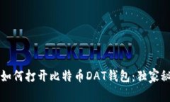 专家教你如何打开比特币DAT钱包：独家秘诀大揭
