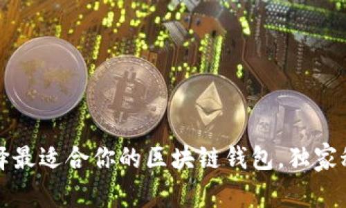 专家揭秘：如何选择最适合你的区块链钱包，独家秘诀让你安全无忧！
