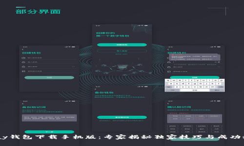 ebpay钱包下载手机版：专家揭秘独家技巧与成功秘诀！