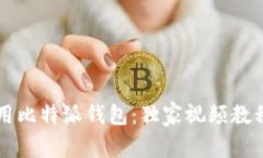 专家教你使用比特派钱包