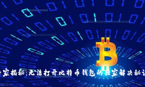 专家揭秘：无法打开比特币钱包的独家解决秘诀！