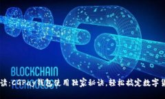 专家解读：CGPay钱包使用独