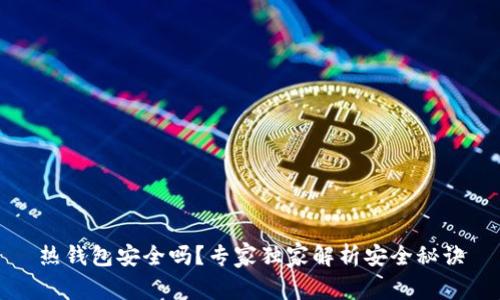 热钱包安全吗？专家独家解析安全秘诀