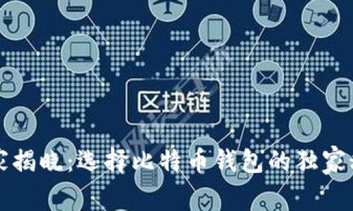 专家揭晓：选择比特币钱包的独家秘诀