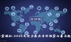 币圈专家揭秘：2023年潜力最大币种独家内幕与投