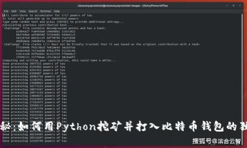 专家揭秘：如何用Python挖矿并打入比特币钱包的独家秘诀