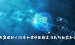 专家揭秘：ICE币如何快速