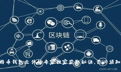 比特币钱包文件的专家独家获取秘诀，你必须知道!