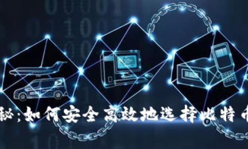 专家独家揭秘：如何安全高效地选择比特币钱包的秘诀