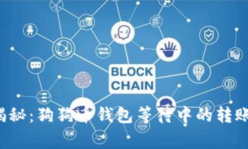 专家独家揭秘：狗狗币钱包等待中的转账能否取消？