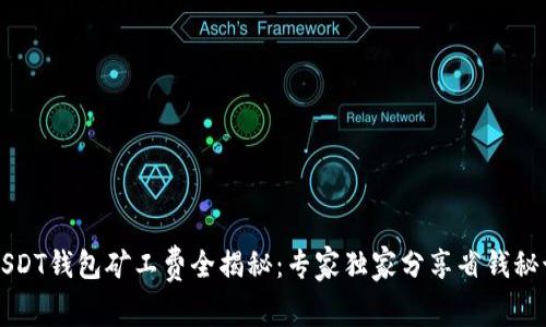 USDT钱包矿工费全揭秘：专家独家分享省钱秘诀