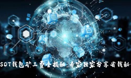USDT钱包矿工费全揭秘：专家独家分享省钱秘诀