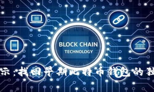 专家揭示：找回早期比特币钱包的独家秘诀