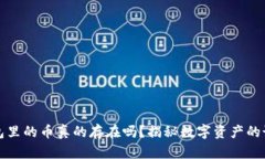 以太坊钱包里的币真的存在吗？揭秘数字资产的