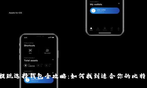 比特币提现选择钱包全攻略：如何找到适合你的比特币钱包？