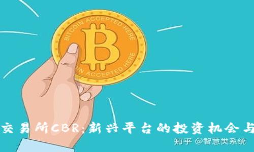 数字货币交易所CBR：新兴平台的投资机会与风险解析