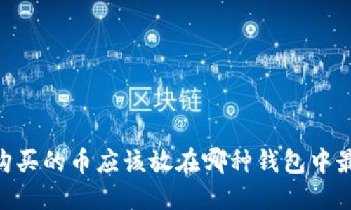 USDT购买的币应该放在哪种钱包中最安全？