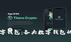 全面解析数字钱包：各大