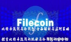 比特币洗钱与冷钱包：全