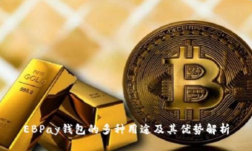 EBPay钱包的多种用途及其优势解析