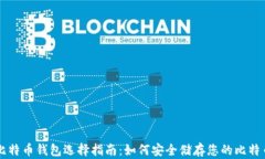 比特币钱包选择指南：如何安全储存您的比特币
