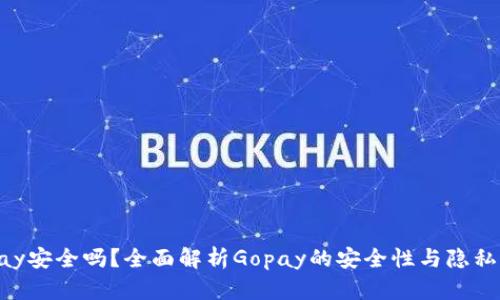 Gopay安全吗？全面解析Gopay的安全性与隐私保护