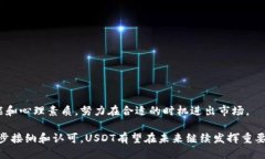 美国可用的USDT钱包推荐及使用指南/USDT, 数字钱包