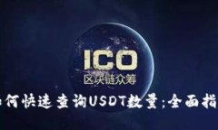 如何快速查询USDT数量：全面指南