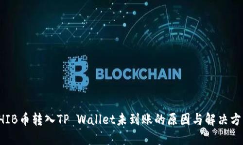 SHIB币转入TP Wallet未到账的原因与解决方法