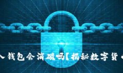 狗狗币放入钱包会消磁吗？揭秘数字货币存储真