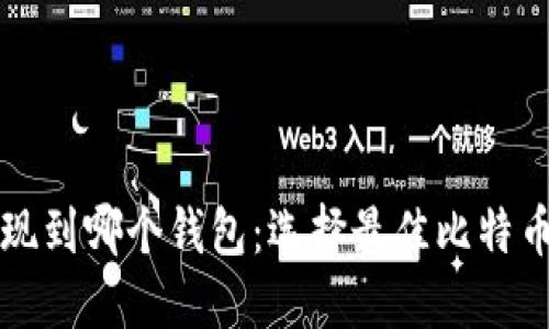 比特币提现到哪个钱包：选择最佳比特币钱包指南