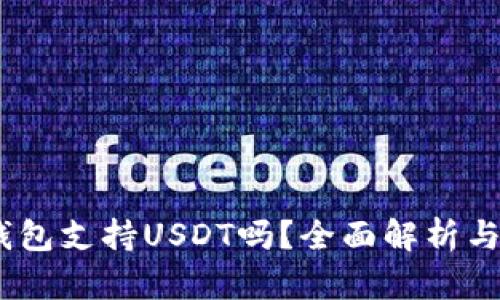 Wasabi钱包支持USDT吗？全面解析与使用指南